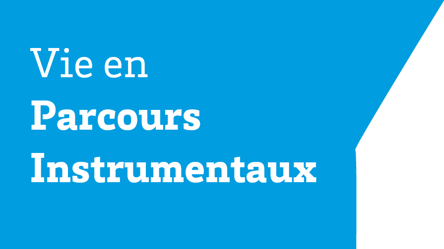 vie_instru.png