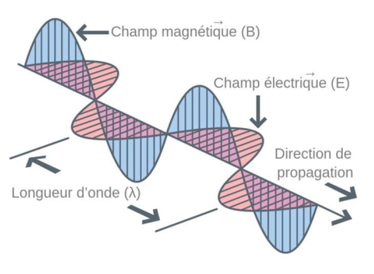 Figure1SartonDuncan.png